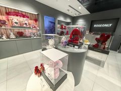 -ROSEONLY诺誓(国际广场购物中心店)