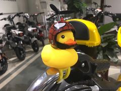 -雅迪电动车(北艾路店)