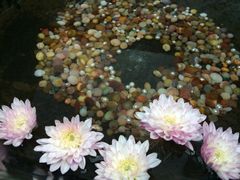 月溪香林-月溪香林