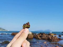 -西涌国际滨海旅游区