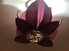 -火燒雲傣家菜(鼓楼店)