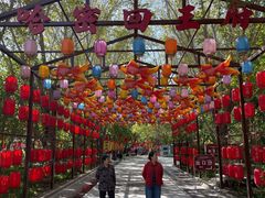 -哈密回王府景区