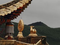-四川郎木寺镇