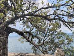-抚仙湖禄充风景区