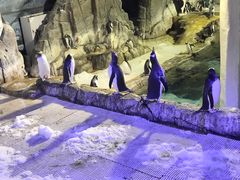 -成都浩海立方海洋公园