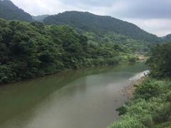 -豪哥麻酱面