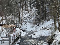 -峡谷浮石林景区