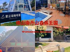 -南丹山森林王国
