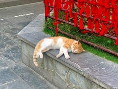 -黔灵山公园