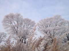 iphone_upload_pic-雾凇岛