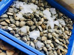 -渡海小渔村.老辈日照菜