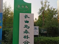 -长白岛森林公园