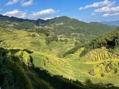 -紫鹊界梯田景区