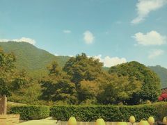 -逸廊大堂吧-下午茶·简餐-千岛湖自由洲际殿