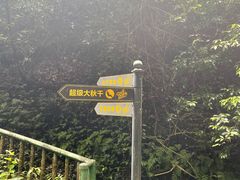 -贵阳猴耳天坑·极限酷玩公园