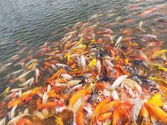 -北戴河圣蓝海洋公园