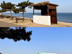 -巧克力渔家.小船海鲜胶东菜(万平口店)