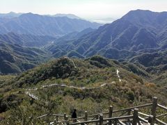 -大岭沟猕猴桃谷风景区