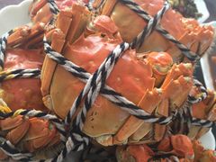 -乡乐园蟹庄·阳澄湖农家乐