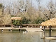-溱湖国家湿地公园