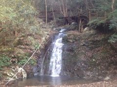 石台牯牛降-石台牯牛降景区