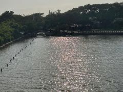 -江心屿景区