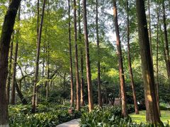 -柳莺湖上·湖景餐厅·江南菜(西湖店)