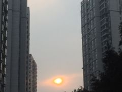 -新湖明珠城