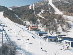 -亚布力新体委滑雪场