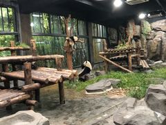 -野生动物园-停车场