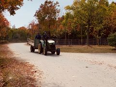 -上海海湾国家森林公园