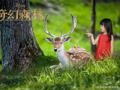 9影数字棚景-珍爱宝贝摄影