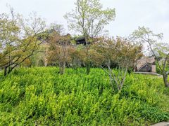 -广富林郊野公园