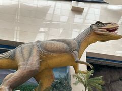 -安徽省地质博物馆