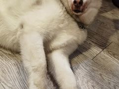 -小时光咖啡馆(北锣鼓巷店)