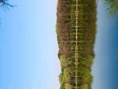 -昆山城市生态森林公园