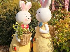 -上海共青森林公园