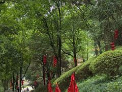 -炎帝陵景区
