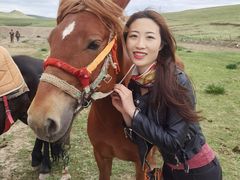 -山丹皇家马场