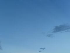 -野狸岛