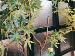 -渝乡辣婆婆·川菜 水煮鱼(中山西路店)