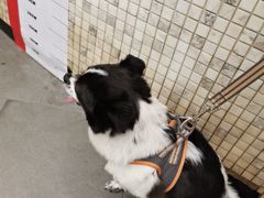 -联合动物医院(光谷诊疗中心)