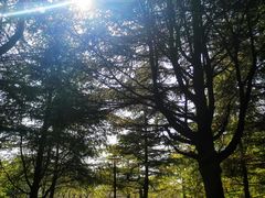 -黄兴公园