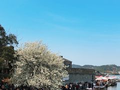 -东钱湖旅游度假区