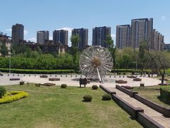 -蒲河岛湿地公园