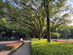 -浙江大学(玉泉校区)