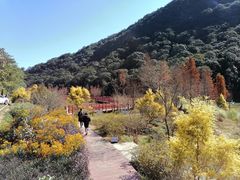 -广州市石门国家森林公园