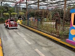 -南宫五洲植物乐园