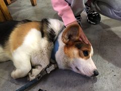 -阿尔法海鲜排档(爱琴海店)