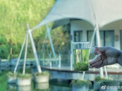 -帐篷客·溪龙茶谷度假酒店